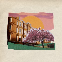 Cherry Blossom Sunset