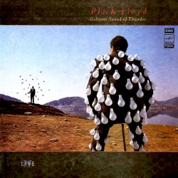 Delicate Sound of Thunder