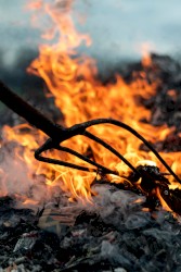 Weepeth by the Holy Fire