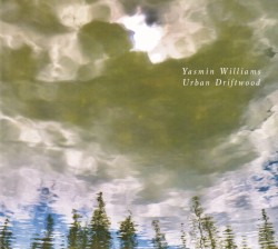 Urban Driftwood