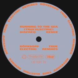 Running to the Sea (Disfreq remix)