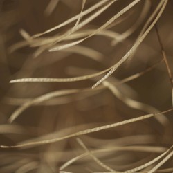 Улетела к свету.