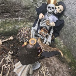 SOGW2: "Estee Nack & The Order of The Golden Fleece"