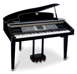 Midai Circulation (Single)