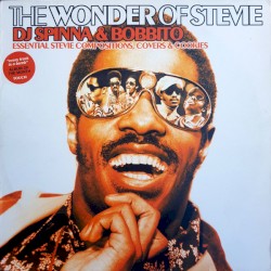 The Wonder Of Stevie (Essential Stevie Compositions, Covers & Cookies)