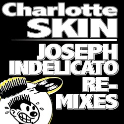 Skin (the remixes)