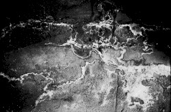 Between the Cracks