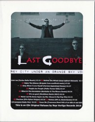 A Grey City Under an Orange Sky 46: Last Goodbye