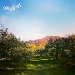 couzinet