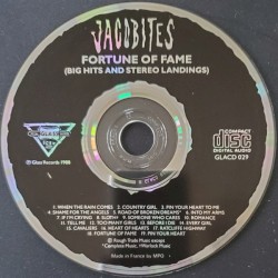 Fortune Of Fame (Big Hits And Stereo Landings)
