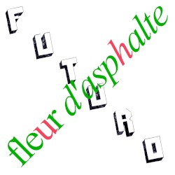 Fleur d’asphalte