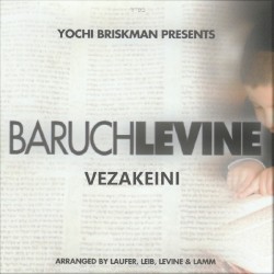Vezakeini