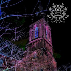 From Death to Rebirth