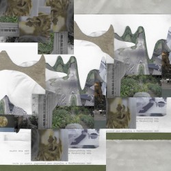 Moonlight / Transmission