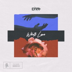 What’s Love