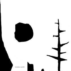 The Forest Sings to Distant Shores