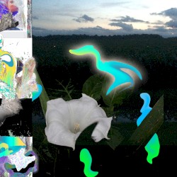 scrolls O1 ::: chorus frog