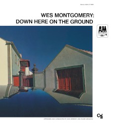 Down Here on the Ground