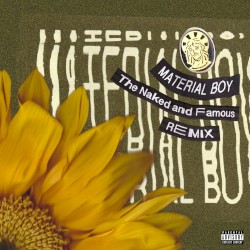 Material Boy (The Naked and Famous remix)