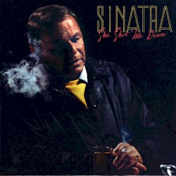 She Shot Me Down (album version)