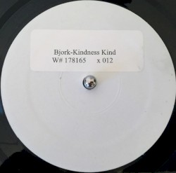 Kindness Kind (Delikate Imposters mix)