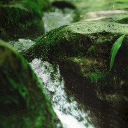 Little Suite, Vol. 2