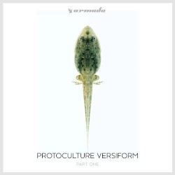 Versiform Part One