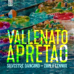 Vallenato apretao (remix)