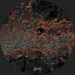 Various Hearts / Sixth Year (Part B)