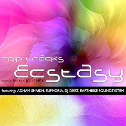 Trip Tracks Ecstasy: Music for the Journey