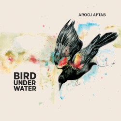 Bird Under Water