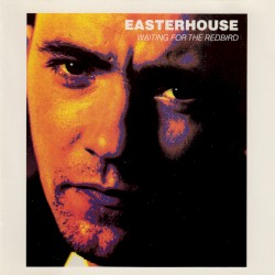 Waiting for the Redbird