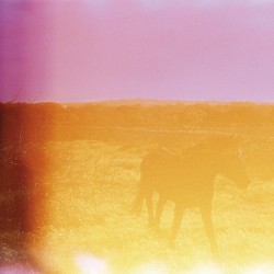 Jo estava que m’abrasava