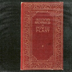 Broodmother
