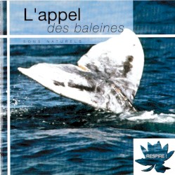 L'appel des baleines