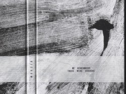 He Remembers There Were Gardens