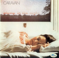 For Girls Who Grow Plump in the Night