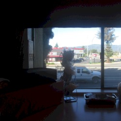 Even More Recordings of Campbell, CA