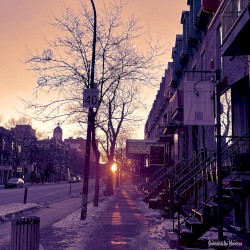 Flocon D’hiver - The Winter Lofi Touch