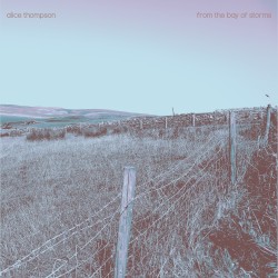 From the Bay of Storms