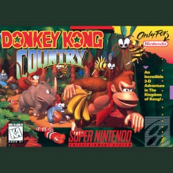 Donkey Kong Country