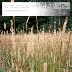 Agate Flow / NEW MEXICAN STARGAZERS