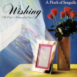 Wishing (If I Had a Photograph of You)