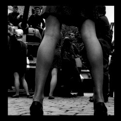 Pieces for Hidden Circles // 隠された円環に捧ぐ断片