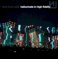 Hallucinate in High Fidelity (2013β2014)