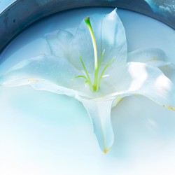 ホームカミング