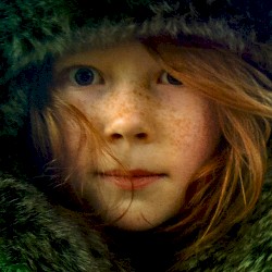 THE WILDLIGHT (Album)