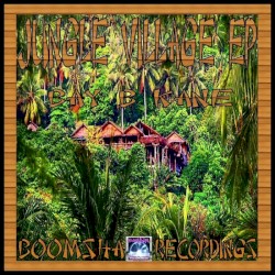 Jungle Village EP
