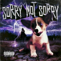 SORRYNOTSORRY