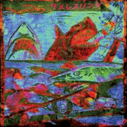 Shark Wrestling In Shibuya